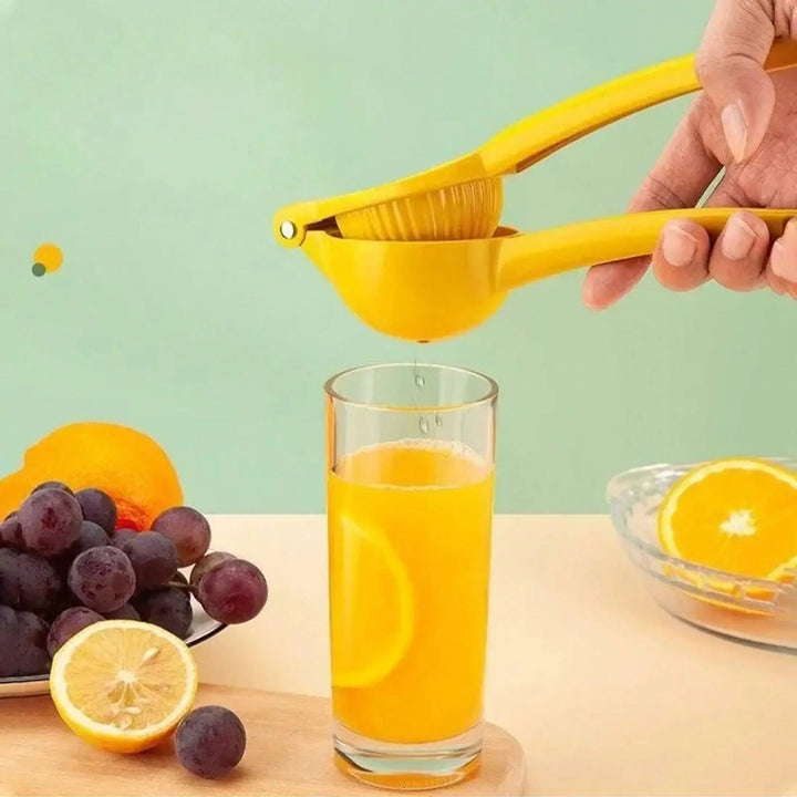 Citrus Juicer
