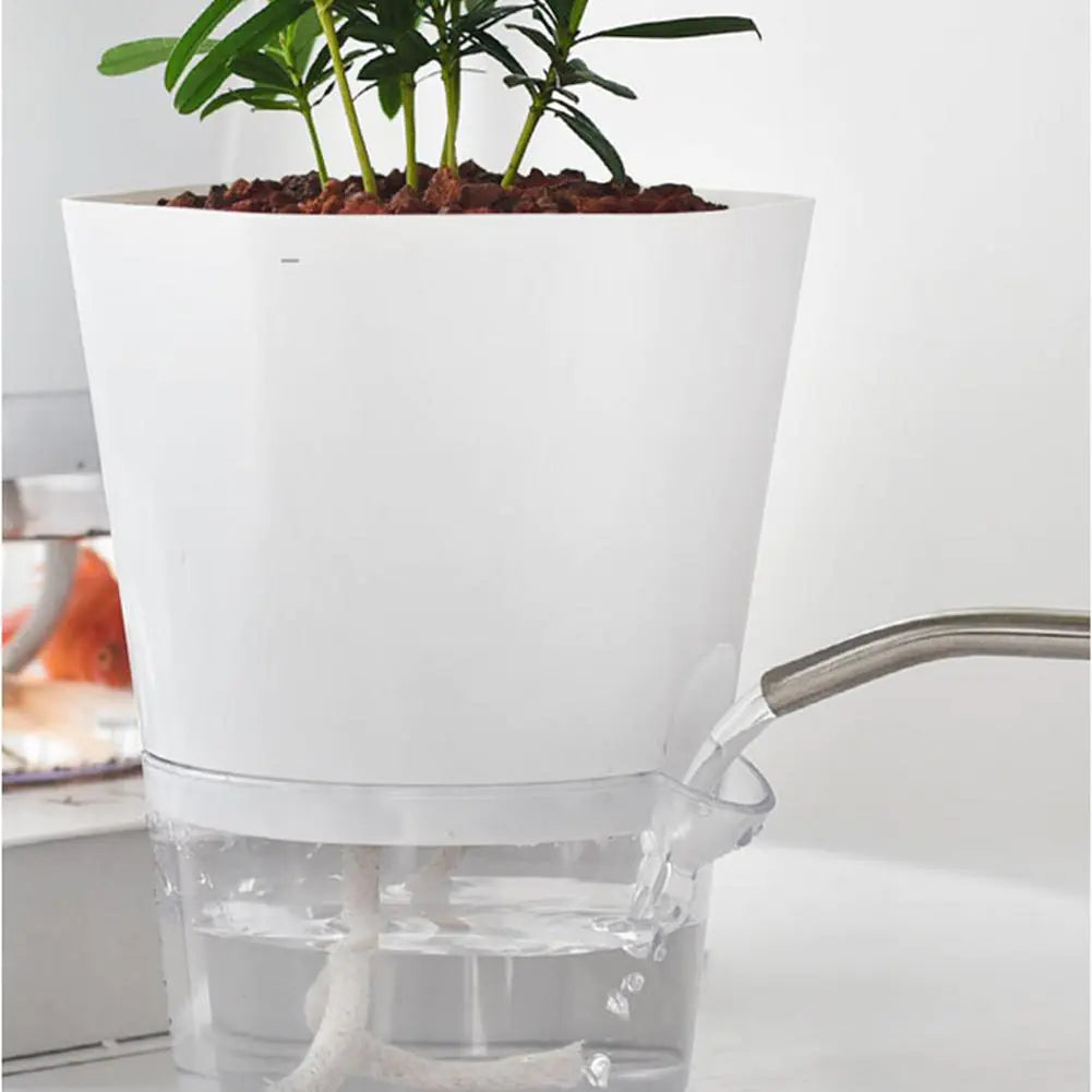 Easy Watering Pot
