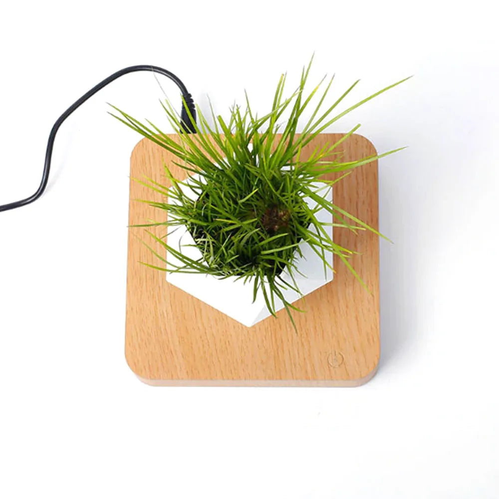 Floating Plant Holder
