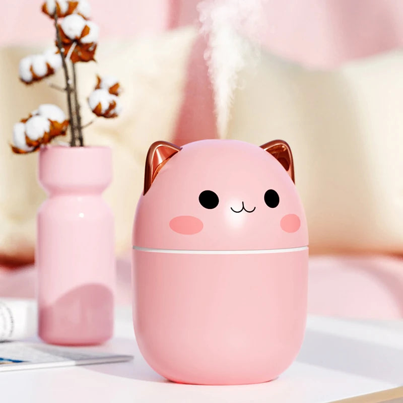 Ultrasonic Humidifier
